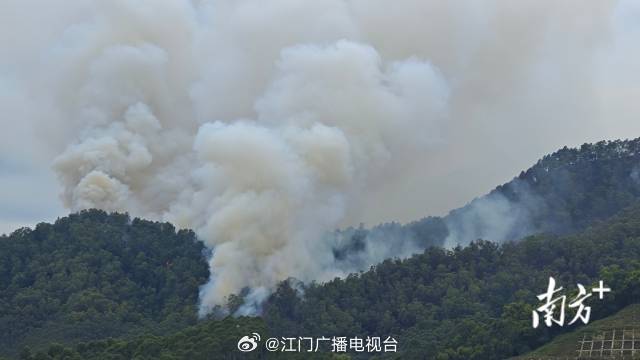 广东肇庆突发山火，紧急救援行动全力展开