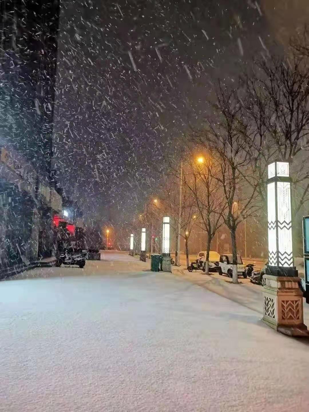 郑州下雪了是真的吗？揭秘这场冬日惊喜背后的真相