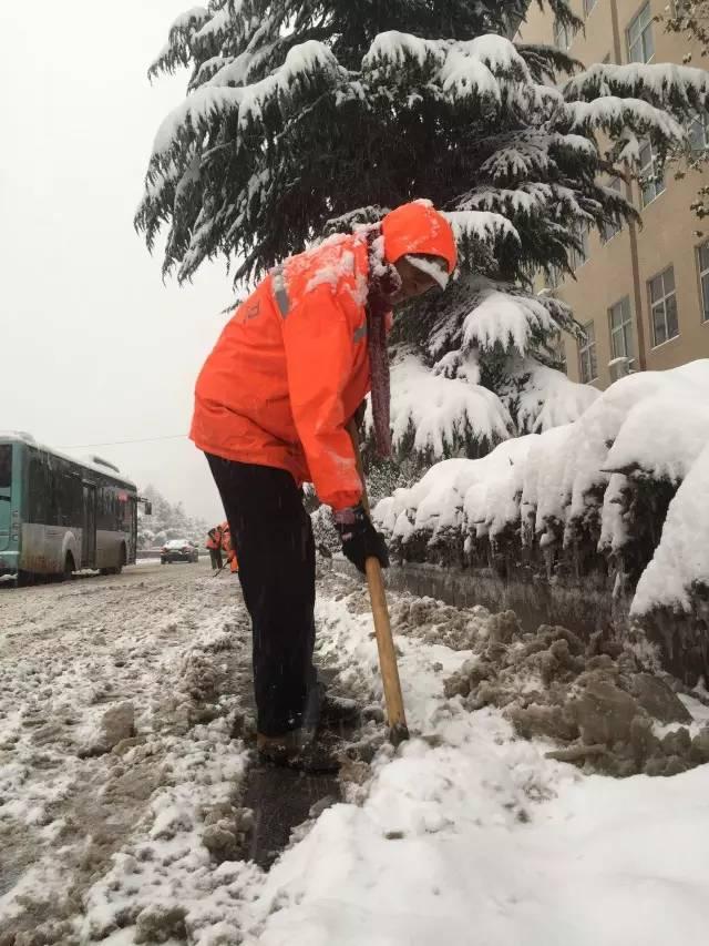 郑州下雪了吗？一探究竟