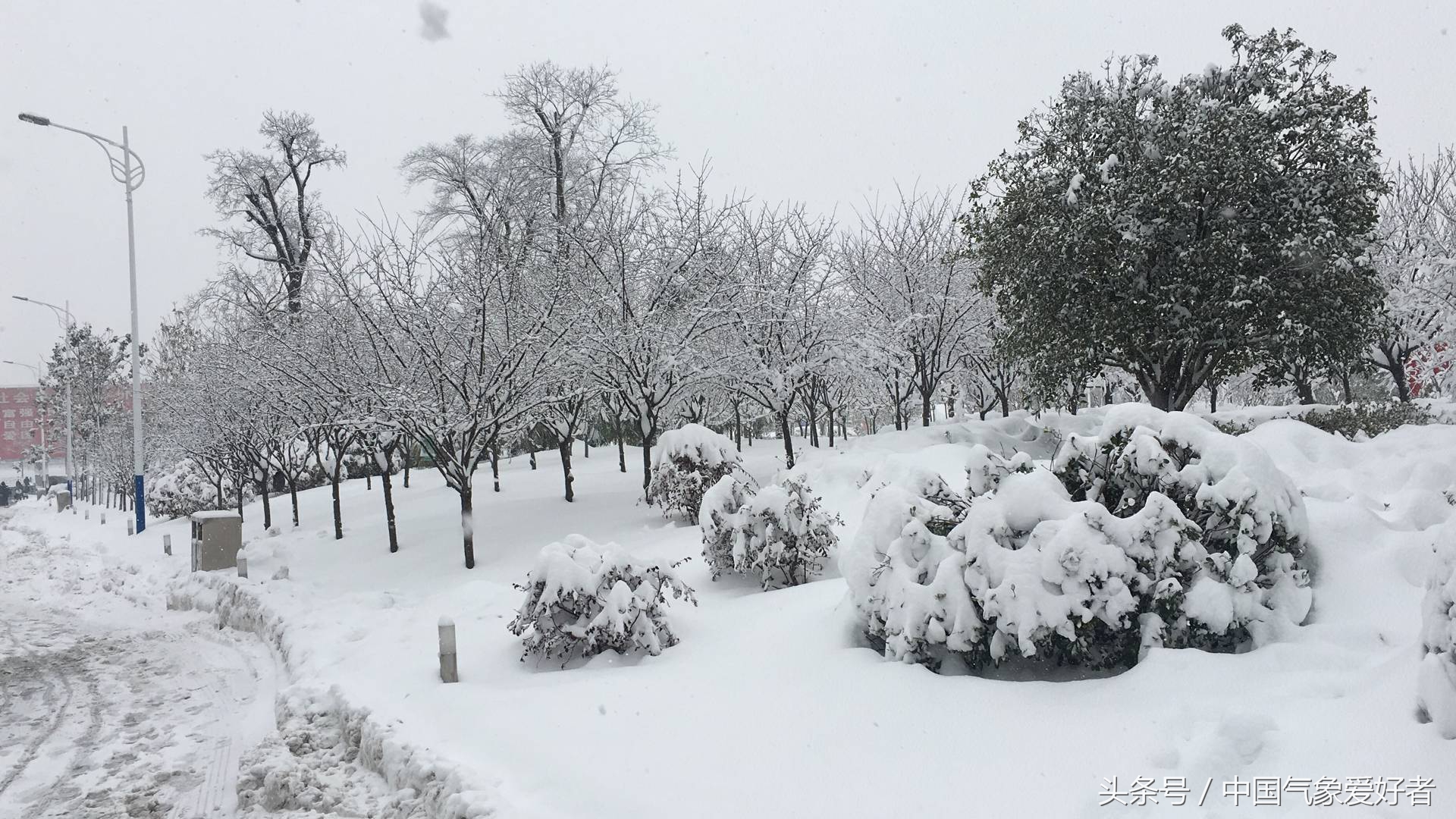 河南特大暴雪，深冬里的挑战与温暖