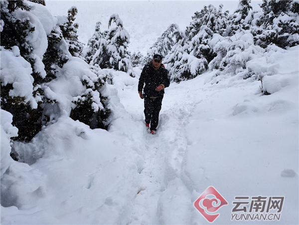 男子山上拍下现实版鹅毛大雪，冰雪奇缘一触即发